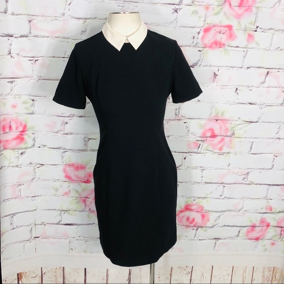 River Island Dresses & Skirts - River island short sleeve black dress cream collar